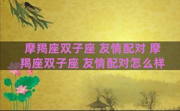 摩羯座双子座 友情配对 摩羯座双子座 友情配对怎么样